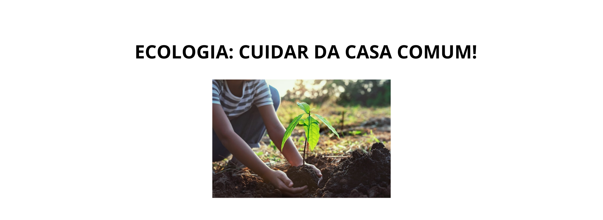 ecolofia